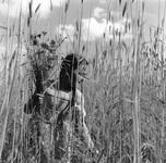848109 Afbeelding van een meisje dat bloemen aan het plukken is in een korenveld, op een onbekende locatie in Nederland.